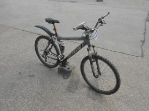 C:\fakepath\DSCN3914