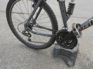 C:\fakepath\DSCN3915