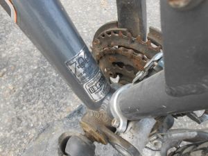 C:\fakepath\DSCN3916