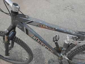 C:\fakepath\DSCN3917