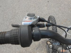 C:\fakepath\DSCN3918