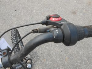 C:\fakepath\DSCN3919