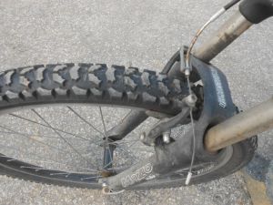 C:\fakepath\DSCN3920