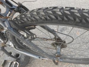 C:\fakepath\DSCN3921