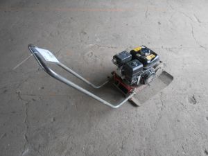 C:\fakepath\DSCN3994