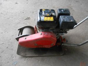 C:\fakepath\DSCN3995