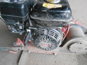 C:\fakepath\DSCN3996