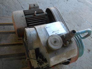 C:\fakepath\DSCN4292