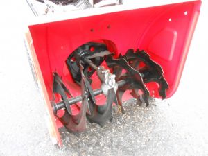 C:\fakepath\DSCN4824