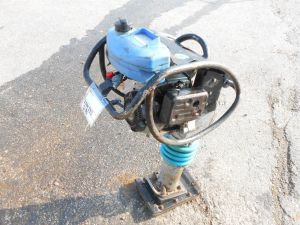 C:\fakepath\DSCN4974