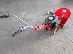 C:\fakepath\DSCN4573