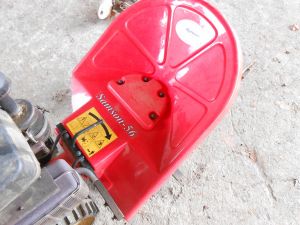 C:\fakepath\DSCN4574