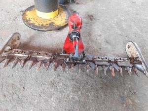 C:\fakepath\DSCN4575