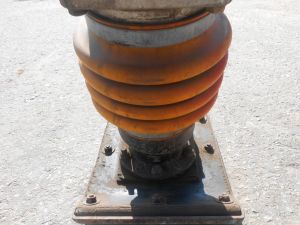 C:\fakepath\DSCN5095