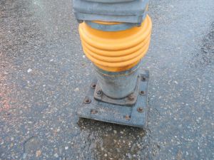 C:\fakepath\DSCN5361