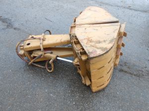 C:\fakepath\DSCN5441