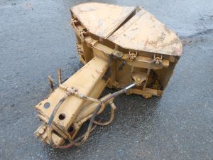 C:\fakepath\DSCN5442