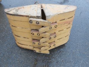 C:\fakepath\DSCN5444