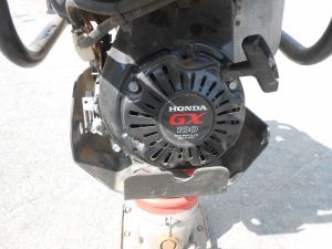 C:\fakepath\DSCN5962