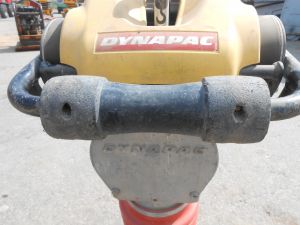 C:\fakepath\DSCN5964