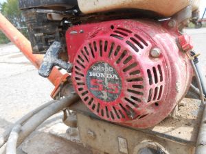 C:\fakepath\DSCN6041