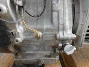 C:\fakepath\DSCN6992