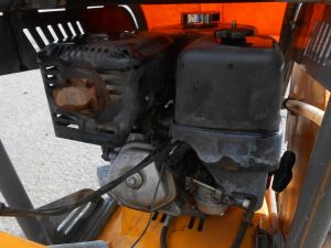 C:\fakepath\DSCN7938