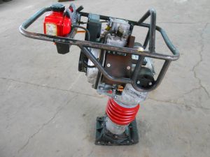 C:\fakepath\DSCN7670