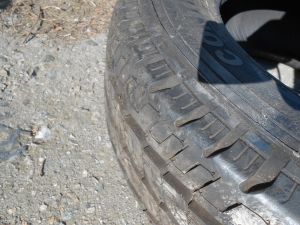 C:\fakepath\DSCN7324