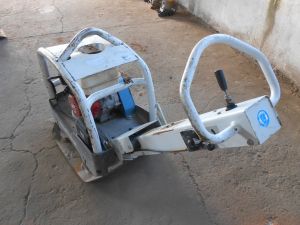 C:\fakepath\DSCN7272