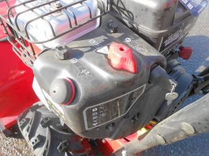 C:\fakepath\DSCN3215