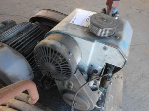 C:\fakepath\DSCN4298