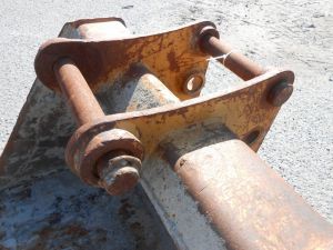 C:\fakepath\DSCN4599