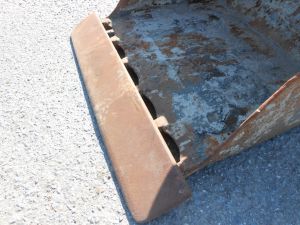 C:\fakepath\DSCN4600