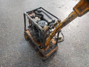 C:\fakepath\DSCN2989