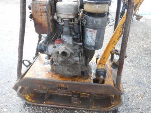 C:\fakepath\DSCN2992