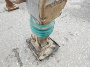 C:\fakepath\DSCN4901