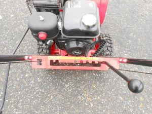 C:\fakepath\DSCN4829