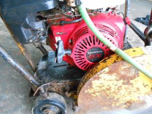 C:\fakepath\DSCN4219