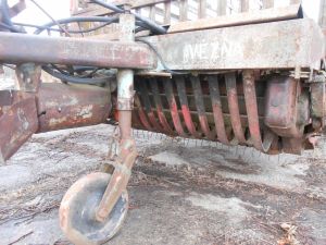 C:\fakepath\DSCN4369