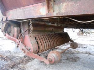 C:\fakepath\DSCN4370