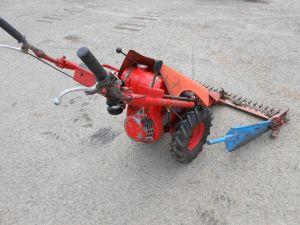 C:\fakepath\DSCN4797