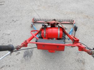 C:\fakepath\DSCN4798