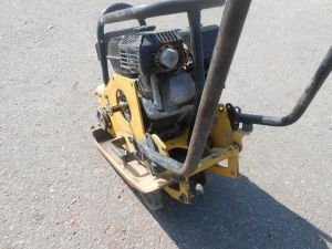 C:\fakepath\DSCN5081