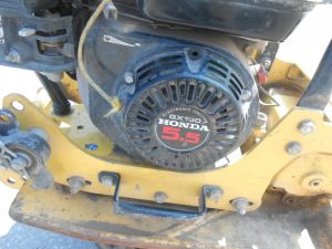 C:\fakepath\DSCN5082