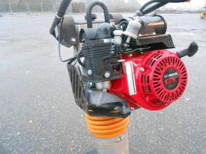 C:\fakepath\DSCN5353