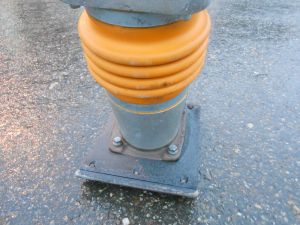 C:\fakepath\DSCN5354