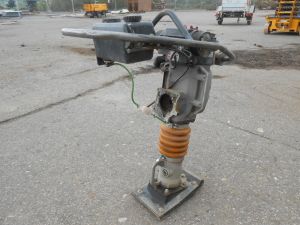 C:\fakepath\DSCN5545