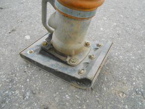 C:\fakepath\DSCN5547