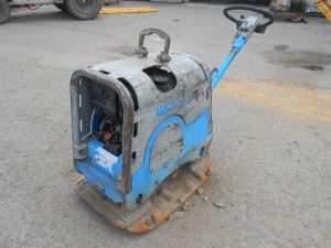 C:\fakepath\DSCN5992